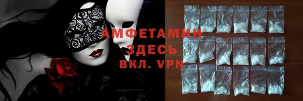 гидра Няндома