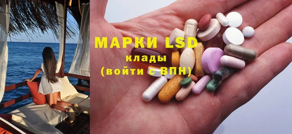 гидра Няндома