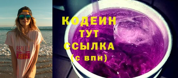 гидра Няндома