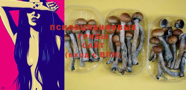 mix Осинники