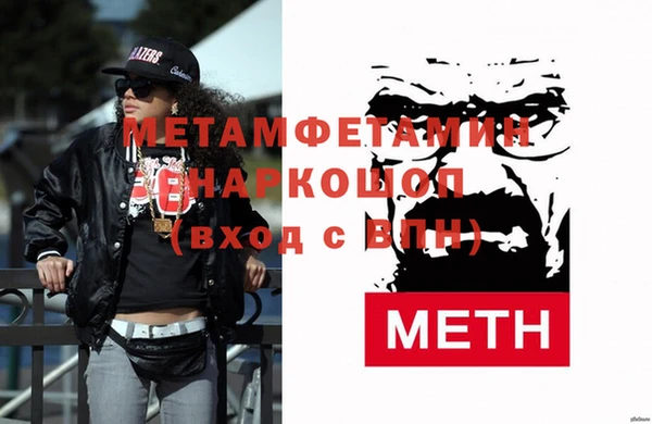 гидра Няндома