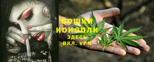 гидра Няндома