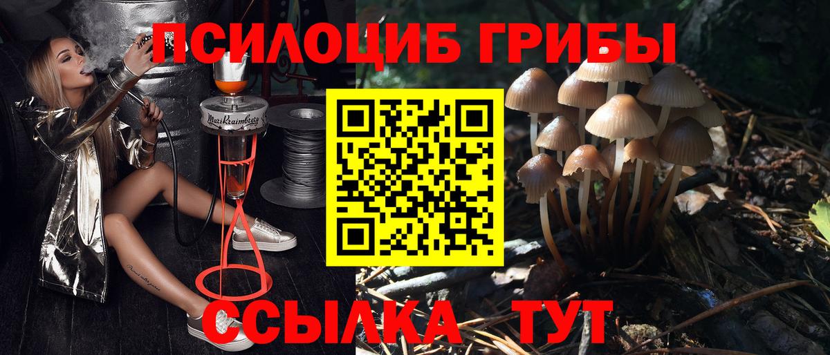 Галлюциногенные грибы Magic Shrooms Кашира