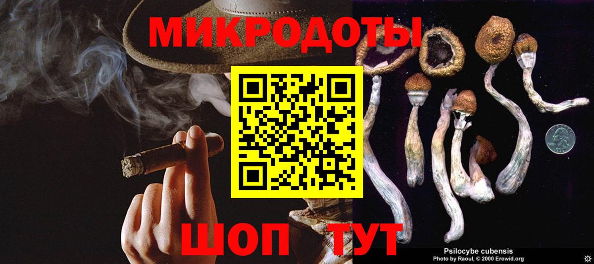 Галлюциногенные грибы мухоморы  Псилоцибиновые грибы MAGIC MUSHROOMS  хочу наркоту  Вход с VPN  Кашира 